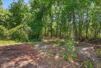 Plus de détails pour Fireside Dr, Middleburg, FL - Terrain à vendre