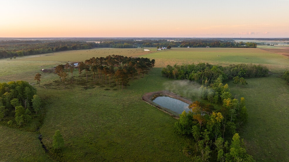 24795 County Road 32, Elberta, AL for sale - Aerial - Image 3 of 13