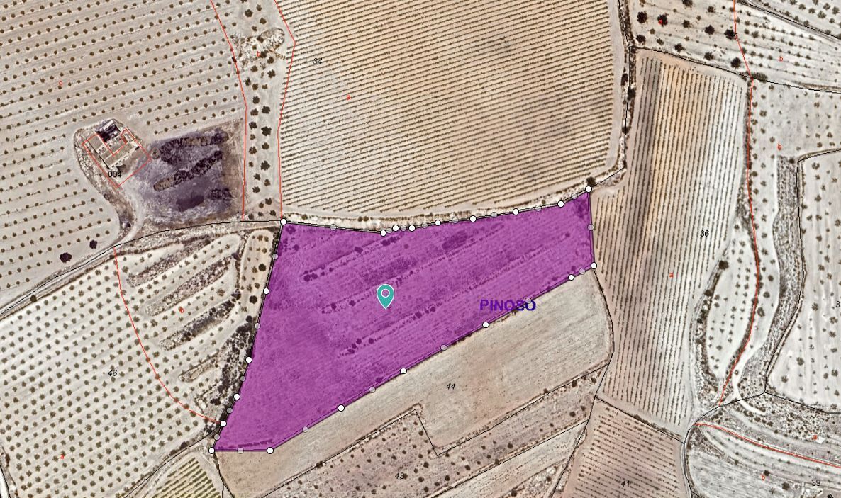 Sin Calle, PINOSO, Alicante à vendre Photo principale- Image 1 de 13