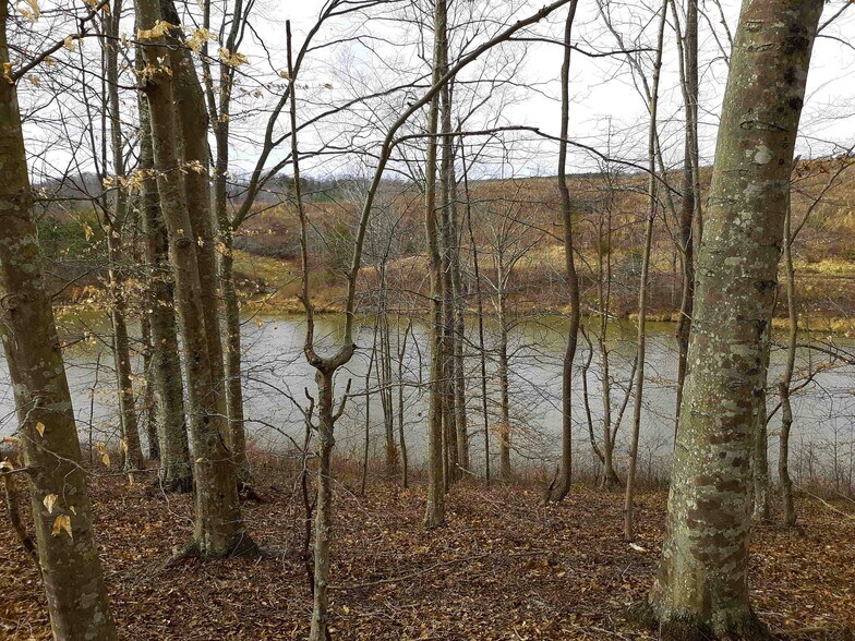 564 W Main St, Yanceyville, NC à vendre - Autre - Image 1 de 6