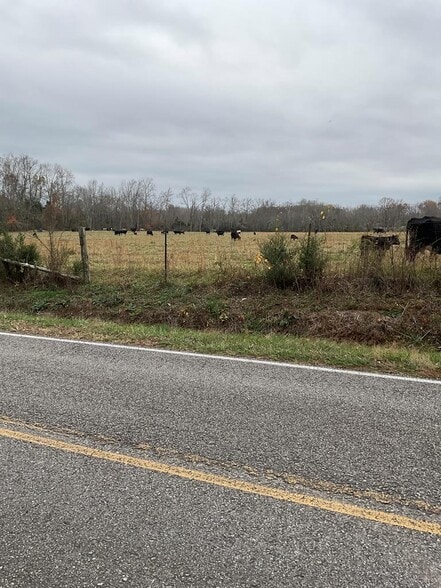 3203 Lee Seminary Rd, Cookeville, TN à vendre - Autre - Image 2 de 14