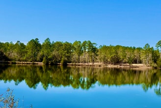 4 Red Feather Dr, Seminole, AL - Aerial  map view - Image1