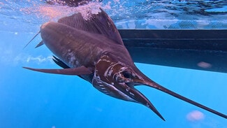 Plus de détails pour Playa Zancudo, Golfito - Services hôteliers à vendre