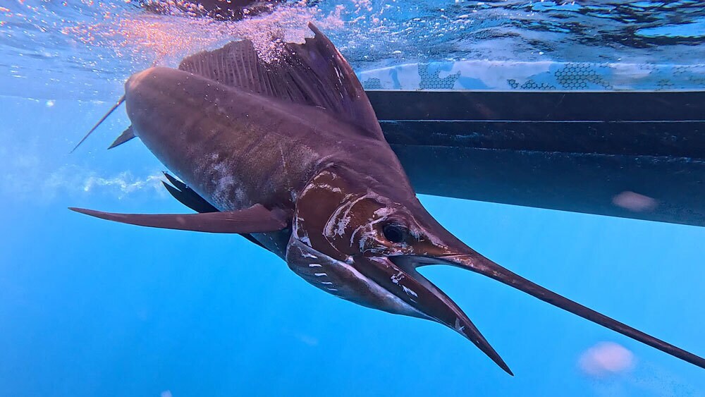 à vendre Photo du bâtiment- Image 1 de 38