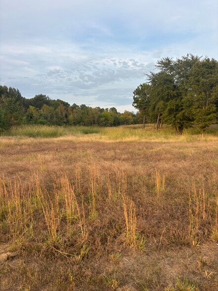 3132 Nealy way, Longview, TX for sale - Other - Image 3 of 8