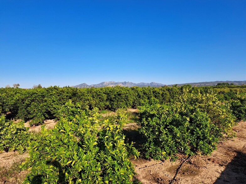 Terrain dans Alzira, Valencia à vendre - Photo principale - Image 2 de 35