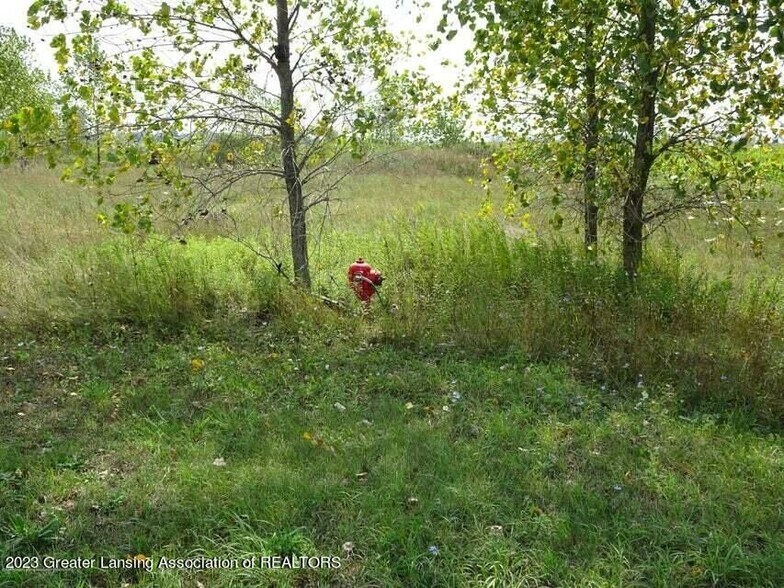 700 E Townsend Rd, Saint Johns, MI à vendre - Photo du bâtiment - Image 2 de 4