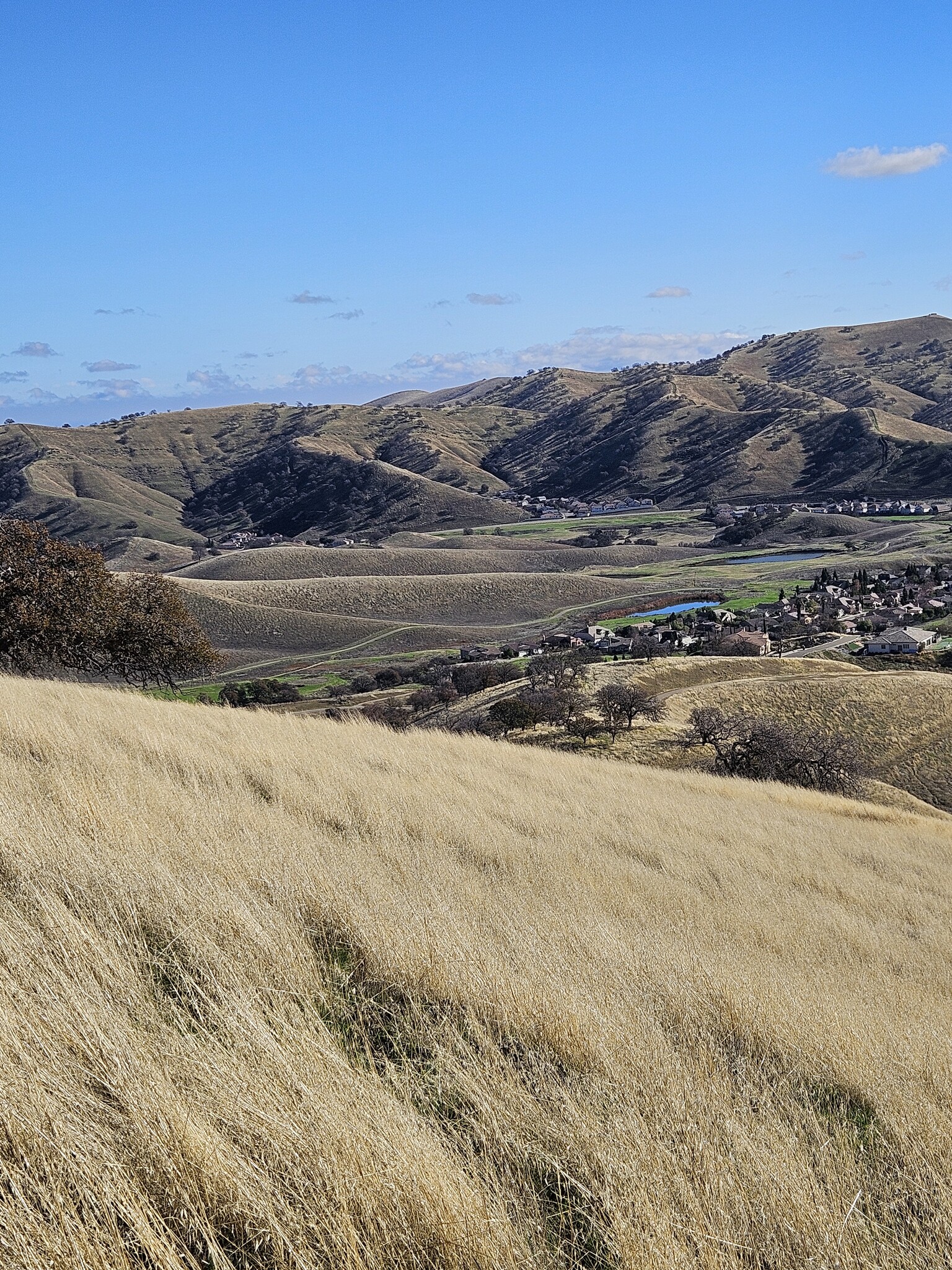 Perrett Patterson Ca. rd, Diablo Grande, CA à vendre Photo du b timent- Image 1 de 13