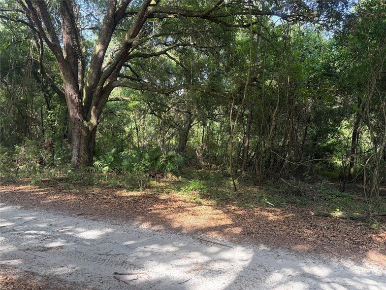 County Road 738, Webster, FL à vendre - Autre - Image 2 de 2