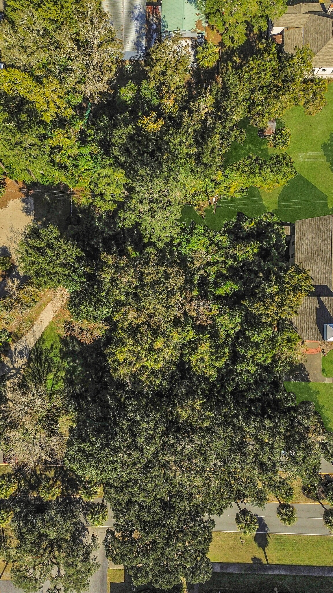 0 Victory Dr, Savannah, GA à vendre Photo principale- Image 1 de 24