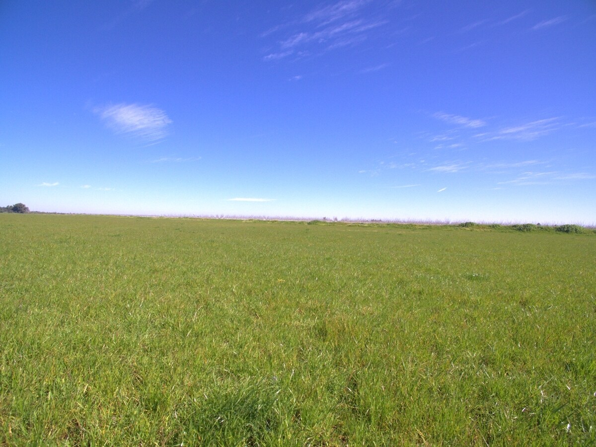 Maxwell Lane, Dixon, CA for sale Primary Photo- Image 1 of 10