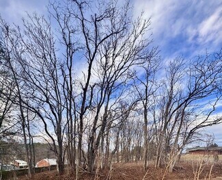 Plus de détails pour 24 Azalea Rd, Daleville, VA - Terrain à vendre