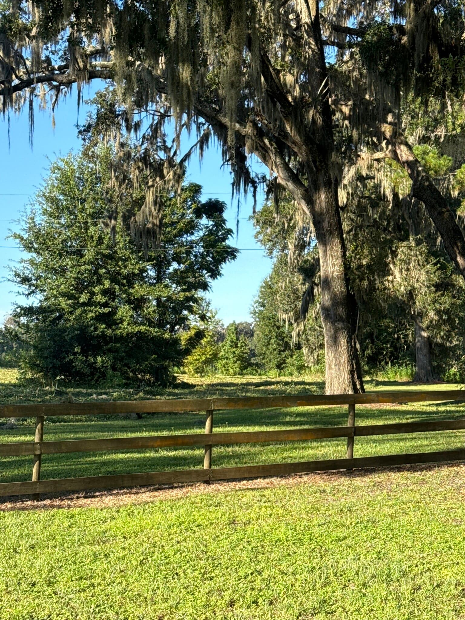 12142 County 484 Hwy, Belleview, FL for lease Primary Photo- Image 1 of 3