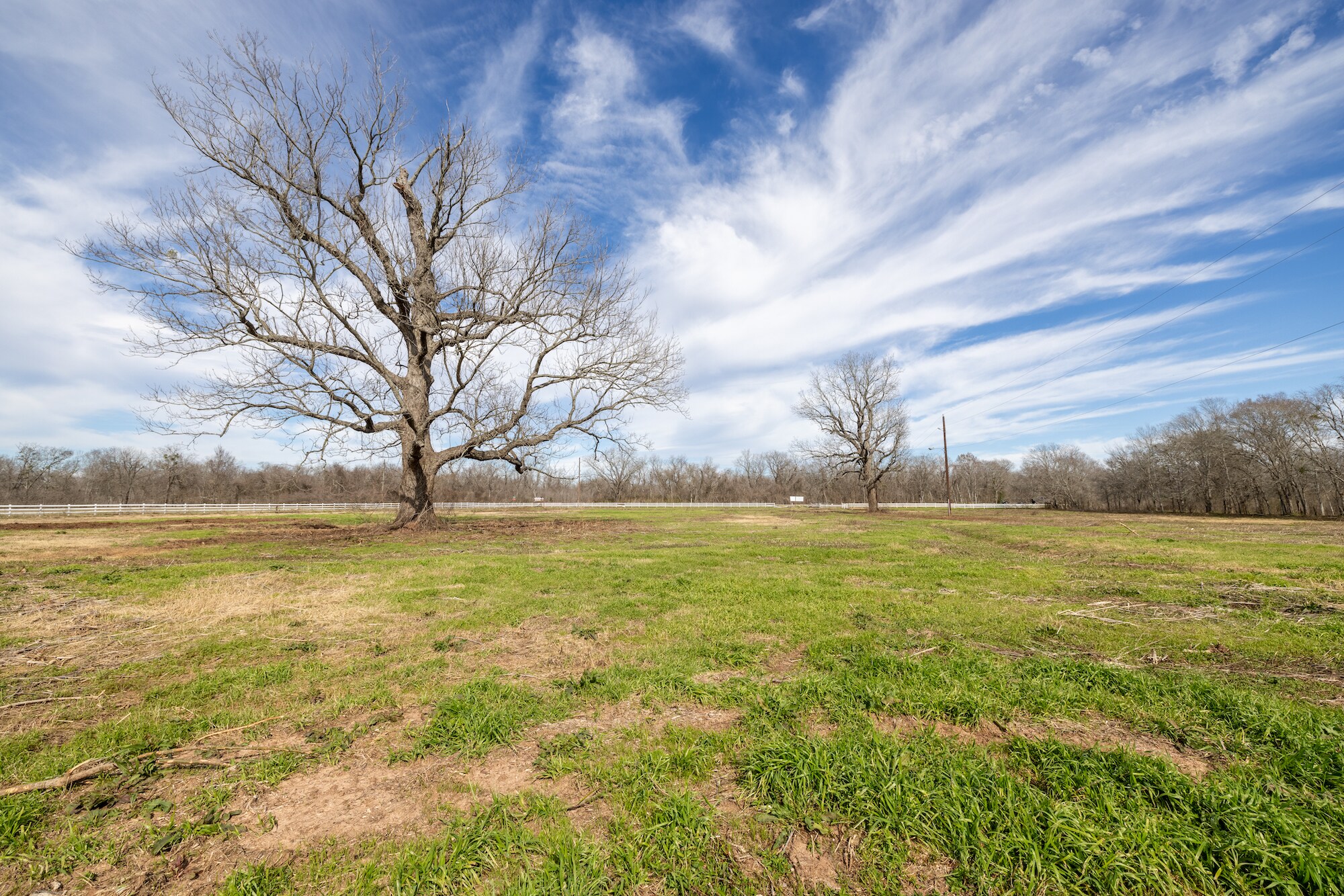 33715 Farm to Market Road 1093, Fulshear, TX à vendre Photo principale- Image 1 de 18