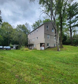 Plus de détails pour 808 State Route 17B, Monticello, NY - Multi-résidentiel à vendre