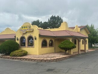 More details for 1417 Cheyenne Ave, Loveland, CO - Retail for Sale