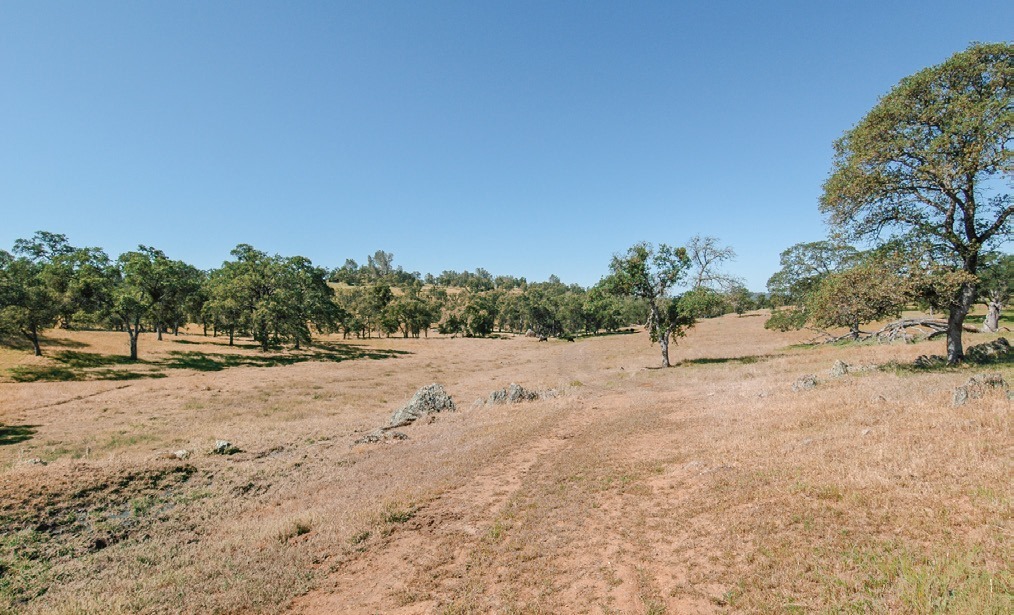 O Byrnes Ferry Rd, Copperopolis, CA for sale Primary Photo- Image 1 of 3