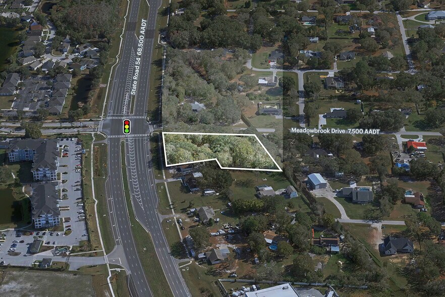 2449 Meadowbrook Dr, Lutz, FL à louer - Photo du bâtiment - Image 1 de 2