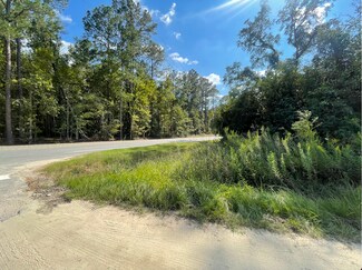 Plus de détails pour 7425 Highway 119 S, Ellabell, GA - Terrain à vendre