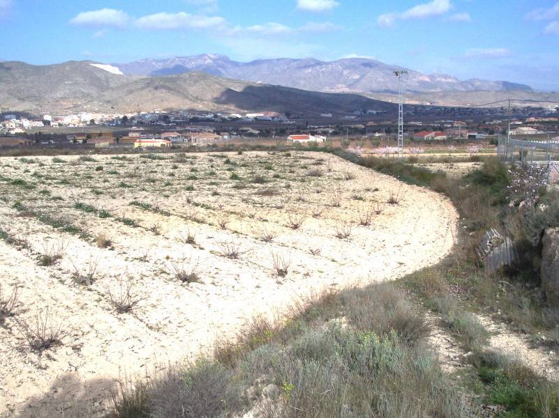 Terrain dans Hondón de los Frailes, Alicante à vendre Plan de site- Image 1 de 4