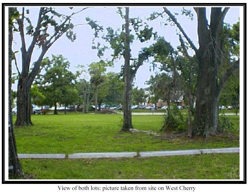 420 W Cherry St, Kissimmee, FL for sale Primary Photo- Image 1 of 9