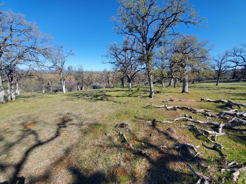 15-One NE Ranch Rd, Paynes Creek, CA à vendre - Photo du bâtiment - Image 2 de 3