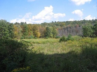 Plus de détails pour 389 Woodland Rd, Accord, NY - Terrain à louer