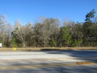 Plus de détails pour CR 220, Middleburg, FL - Terrain à vendre
