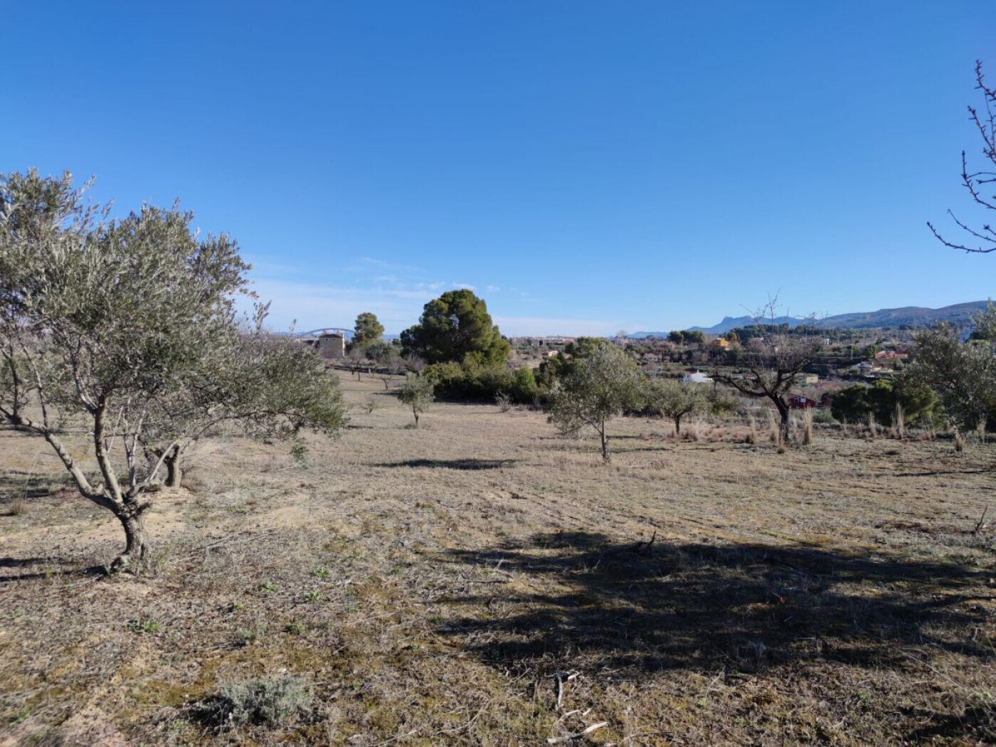Land in Ontinyent, Valencia for sale Primary Photo- Image 1 of 14