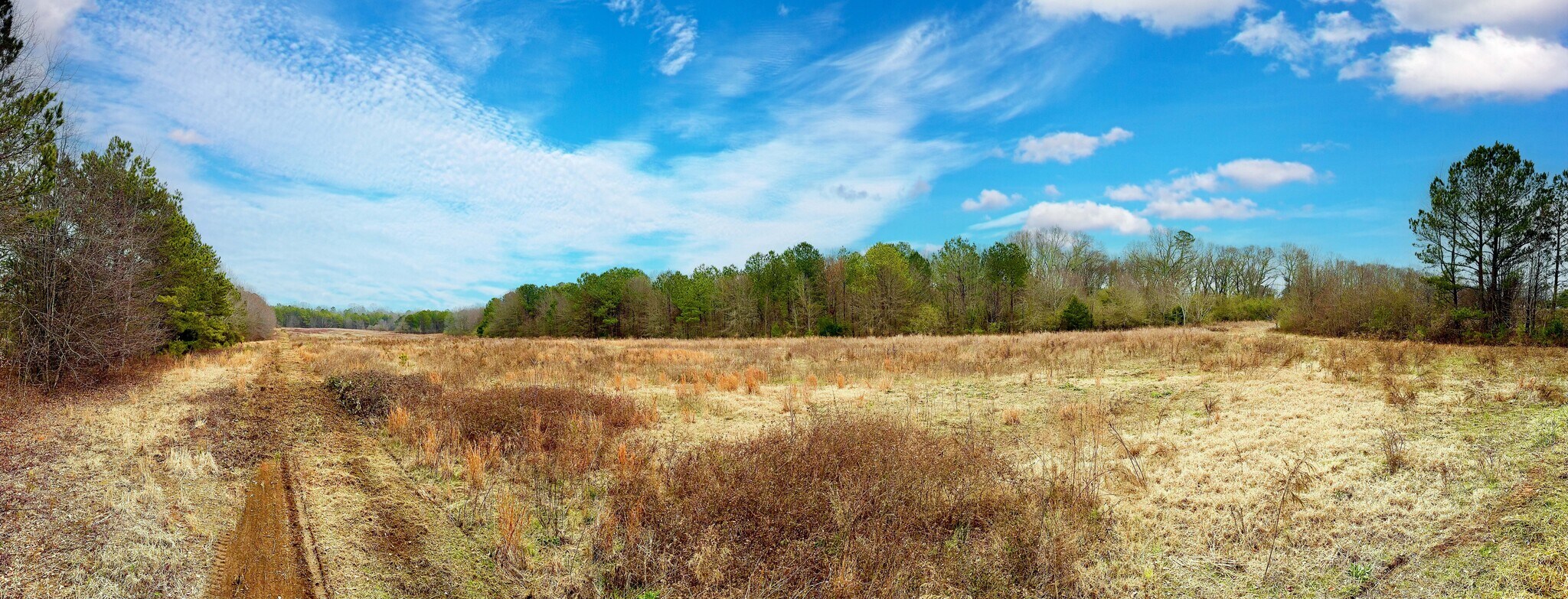 000 Beaverdam Rd, Williamston, SC à vendre Photo du bâtiment- Image 1 de 2
