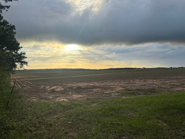 1 Old Stage rd, Repton, AL for sale - Building Photo - Image 2 of 19