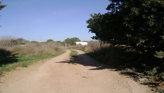 Terrain dans Torredembarra, Tarragona à vendre Plan d’étage- Image 1 de 5