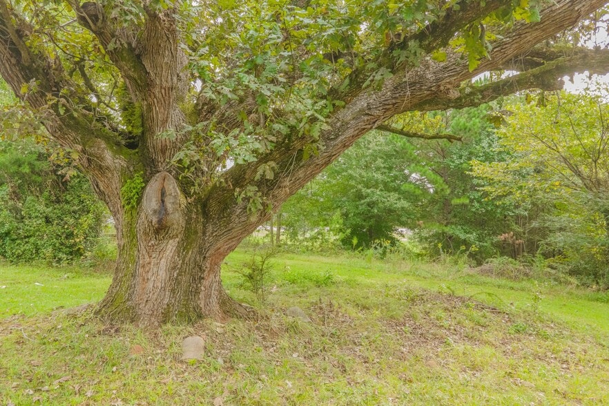 0 6th St, Auburn, GA à vendre - Photo du bâtiment - Image 3 de 24