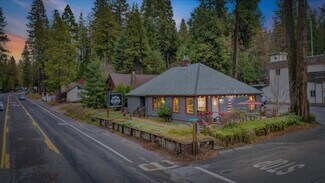 Plus de détails pour 1051 Hwy 4, Arnold, CA - Commerce de détail à vendre