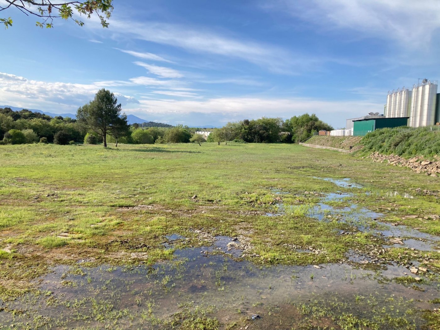 Land in Maçanet de la Selva, Gerona for lease Other- Image 1 of 10