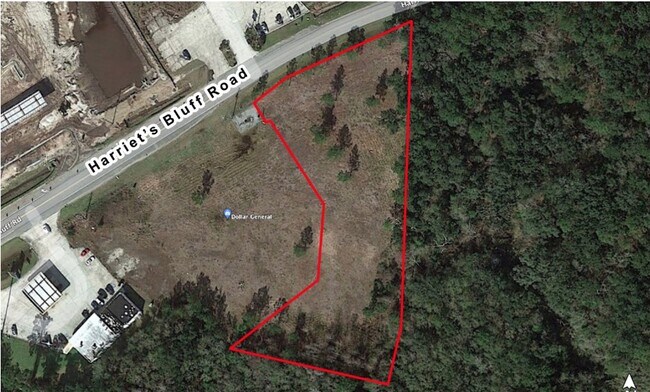 Plus de détails pour 00 Harriet's Bluff Rd, Woodbine, GA - Terrain à vendre