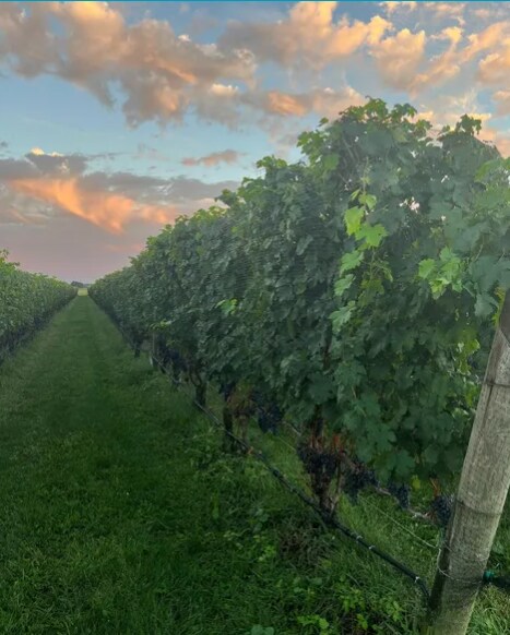 6094 Sound Ave, Jamesport, NY à vendre - Photo du bâtiment - Image 3 de 4