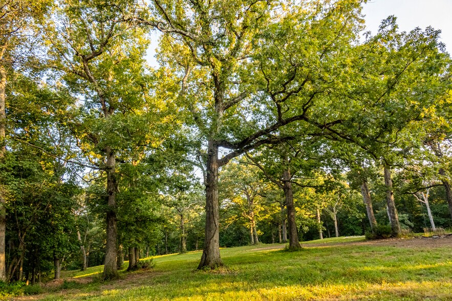 Highway D (14.4+/- Acres), Eolia, MO for sale - Primary Photo - Image 1 of 35