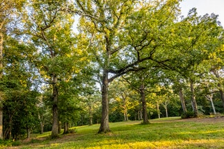 More details for Highway D (14.4+/- Acres), Eolia, MO - Land for Sale