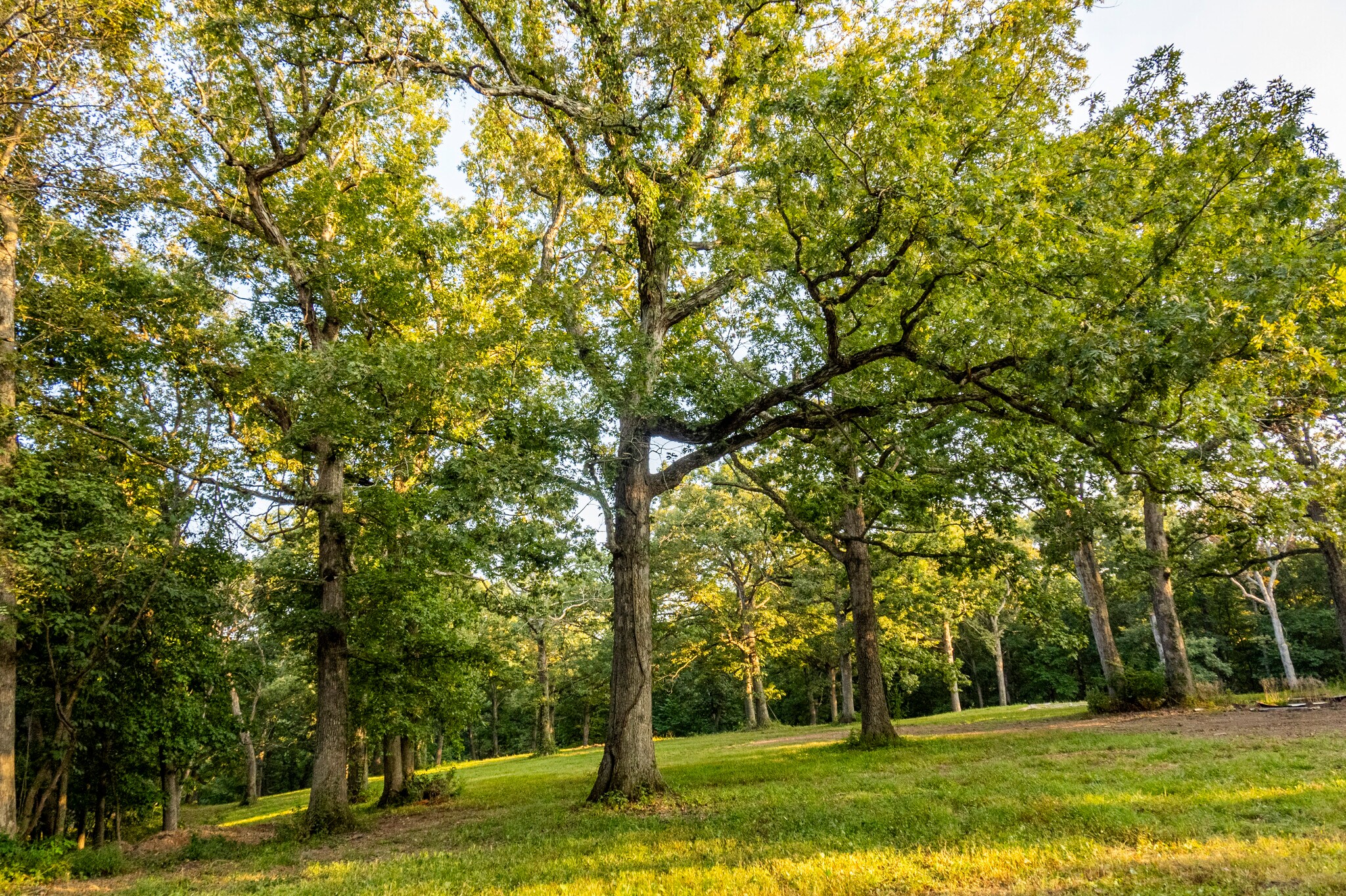 Highway D (14.4+/- Acres), Eolia, MO à vendre Photo principale- Image 1 de 36