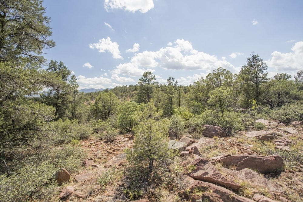 1200 Airport, Payson, AZ à vendre Photo principale- Image 1 de 40