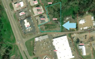 Plus de détails pour 270 Wyeth Ln, Yazoo City, MS - Terrain à vendre