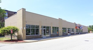 Plus de détails pour 819 Ogden Ave, Lisle, IL - Commerce de détail à louer