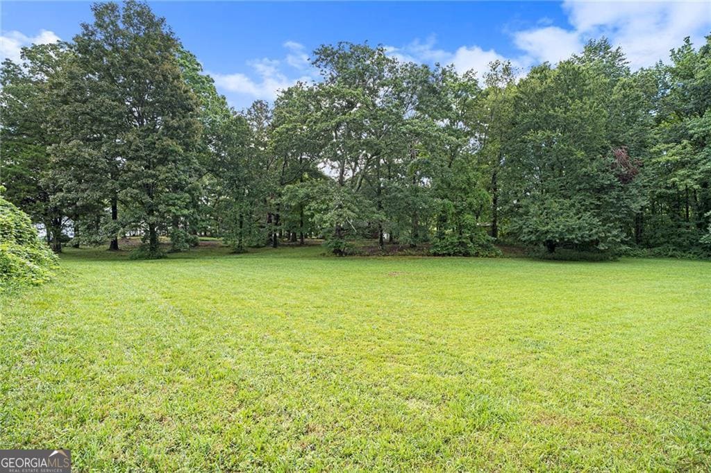 4312 Hollywood Hwy, Clarkesville, GA for sale Primary Photo- Image 1 of 2