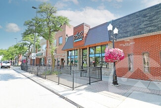 Plus de détails pour 3233 Biddle Ave, Wyandotte, MI - Commerce de détail à vendre
