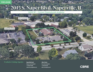 Plus de détails pour 2015 S Naper Blvd, Naperville, IL - Commerce de détail à louer