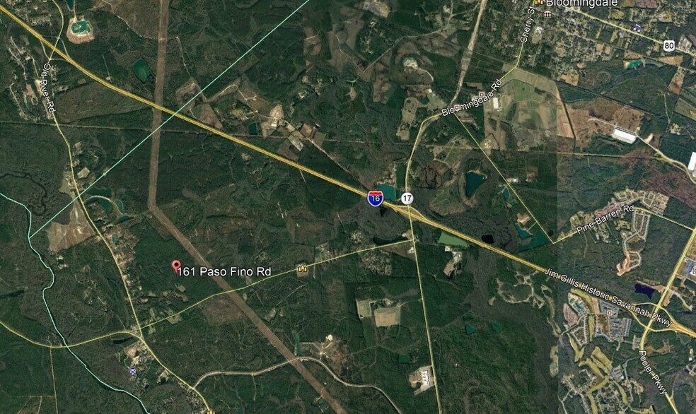 161 Paso Fino Ln, Bloomingdale, GA for sale - Primary Photo - Image 1 of 2