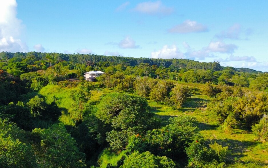 2525 Maikalani St, Hilo, HI for sale - Aerial - Image 1 of 8
