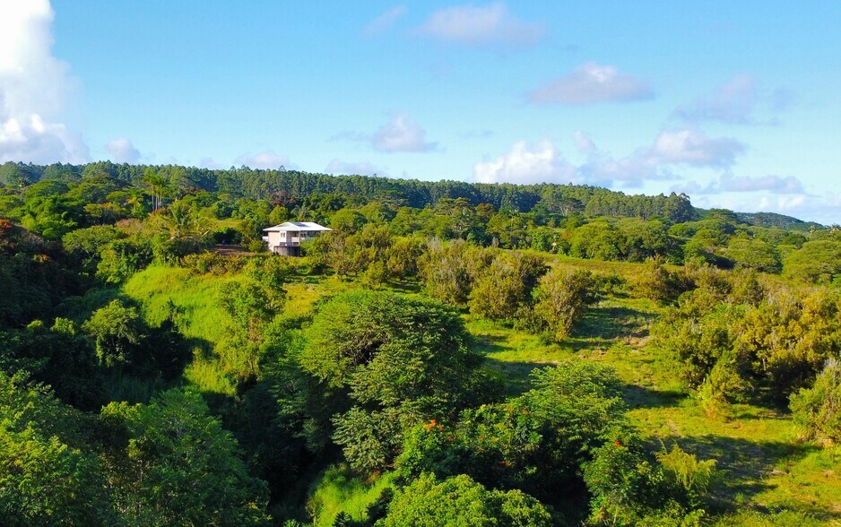 2525 Maikalani St, Hilo, HI à vendre - Aérien - Image 3 de 8