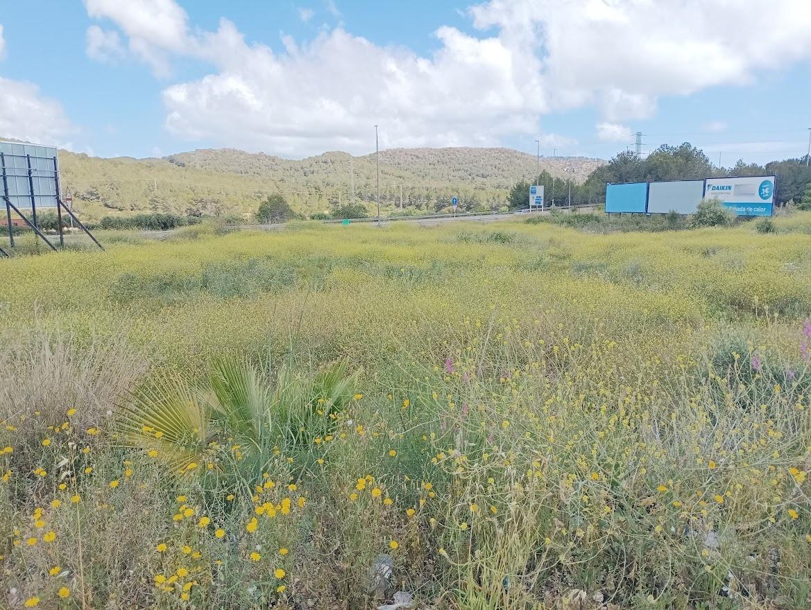 Terrain dans Calafell, Tarragona à vendre Plan cadastral- Image 1 de 2